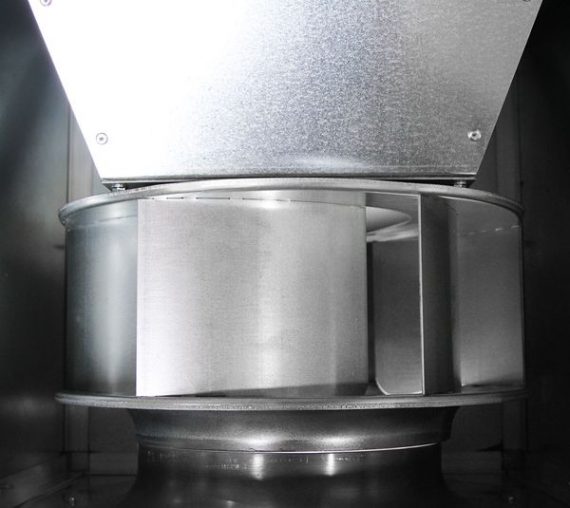 636846182816873512_be99